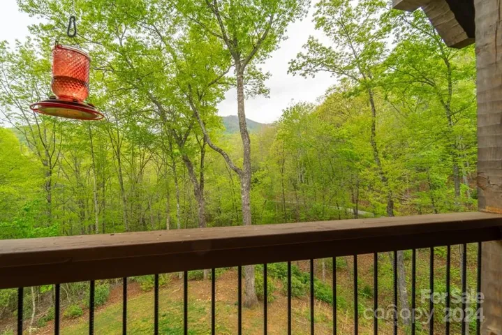 Nestled in the trees with a view of Buck Knob