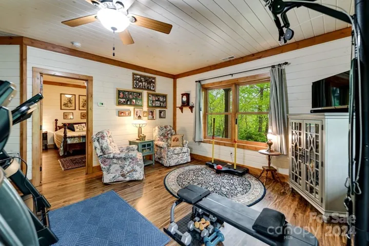 Lower level bonus room
