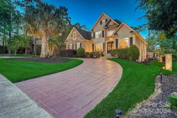 Palm trees in CLT? YES