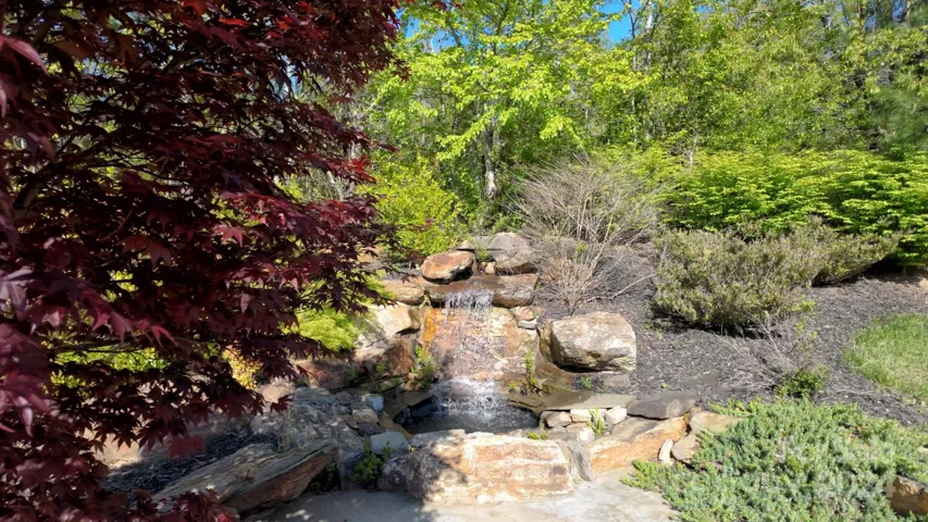 Backyard waterfall with mature landscaping
