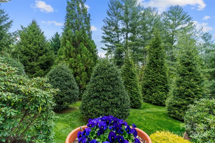 Wow, look at the landscaped privacy in the level rear yard