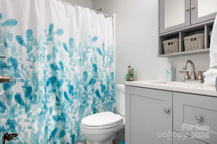 Hall Full Bathroom with upgraded cabinets and bath.