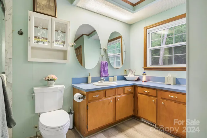 Primary batrhoom with newer renovated shower.