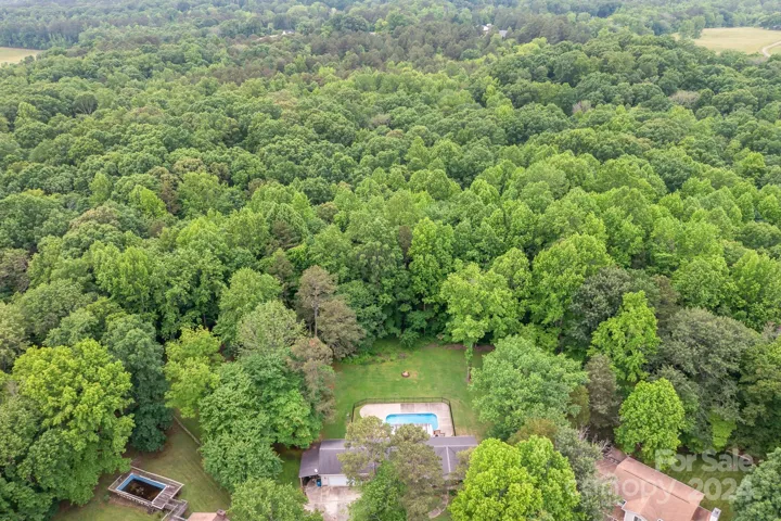 Trees, Trees, Trees! Lots of privacy with this lot.