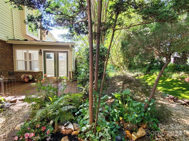 Back yard area