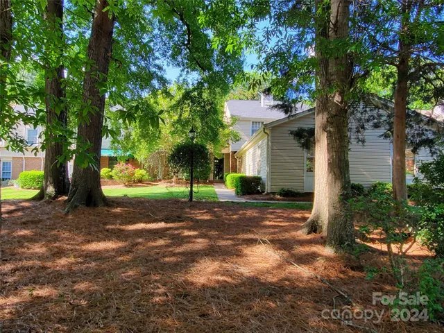 Trees in front of building