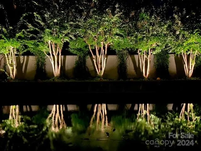 Nighttime Poolscape