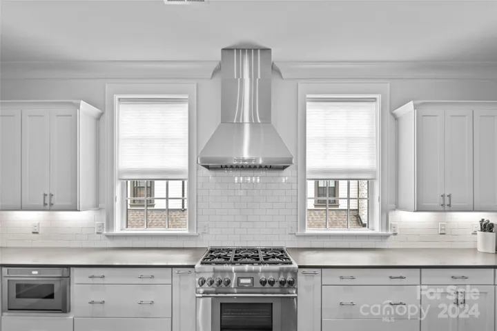 Gas range and vent hood