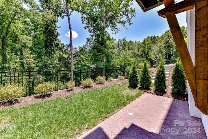 Backyard View