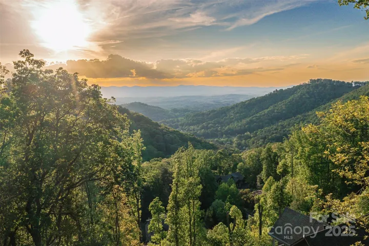 Welcome to Timberwolf Court! Located on one of only four private streets on Reynolds Mountain - offering convenience and tranquility - completely surrounded by nature with year-round, long-range sunset mountain views and just moments from all Asheville has to offer.