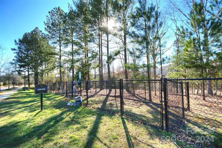 Dog park