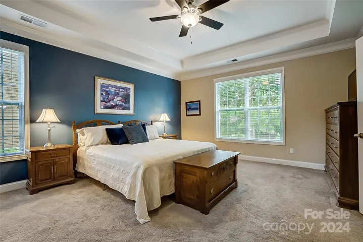 Primary suite with tray ceiling, walk-in closet, and tons of natural light