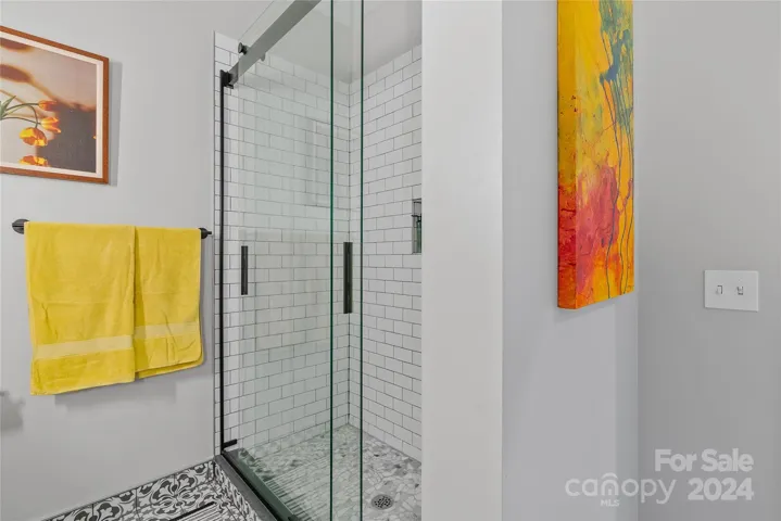 Guest bathroom shower