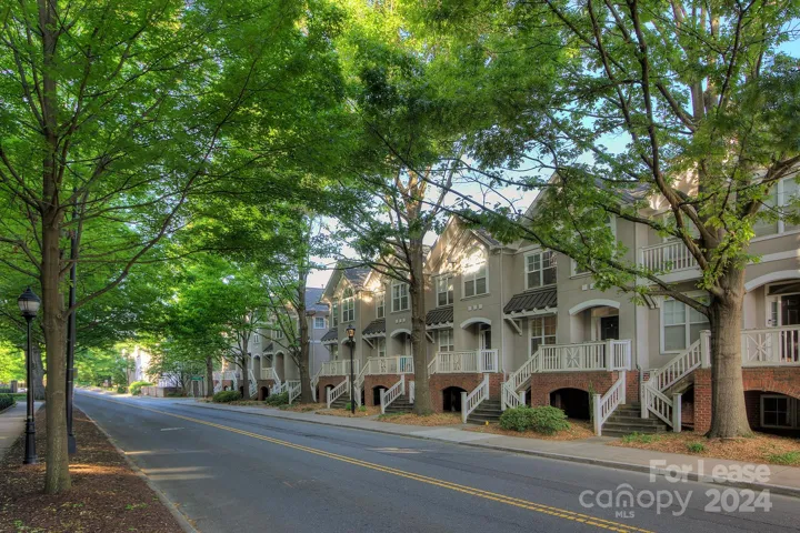 Beautiful tree lined street in 3rd Ward
