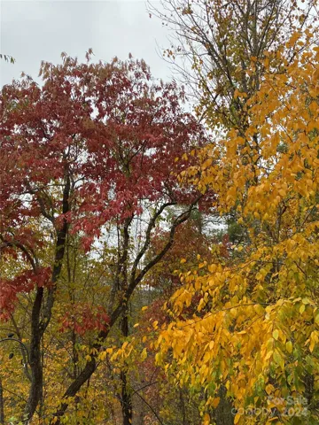 Experience Four Seasons as they shine through every year