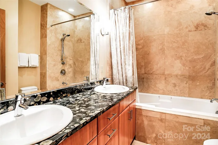 Lower level guest bathroom