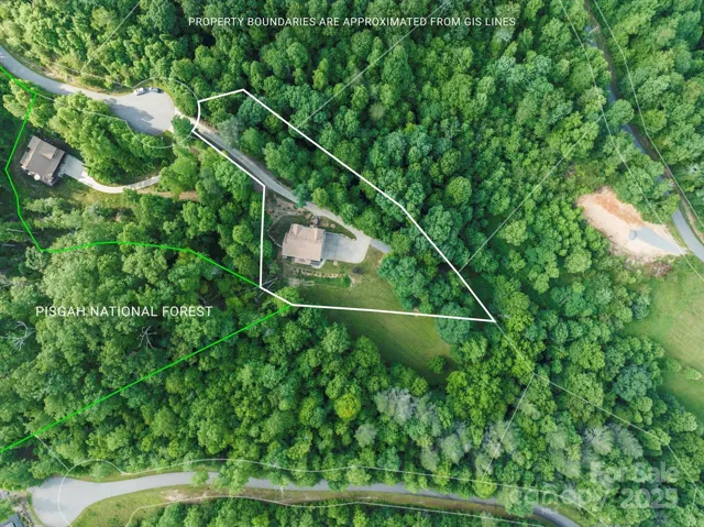 Walk right into the national forest from your backyard!!!