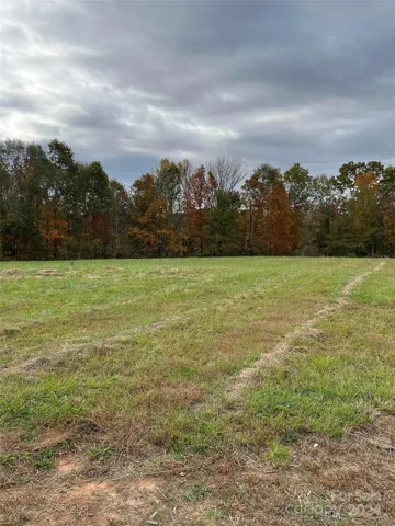 Gorgeous pasture for the homesite.