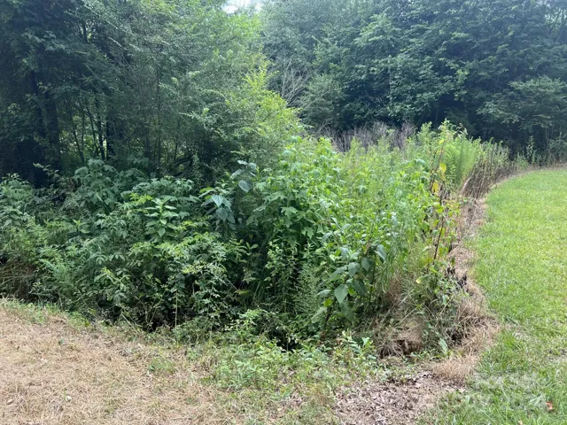 Futhermost right corner from Cottonville Rd.