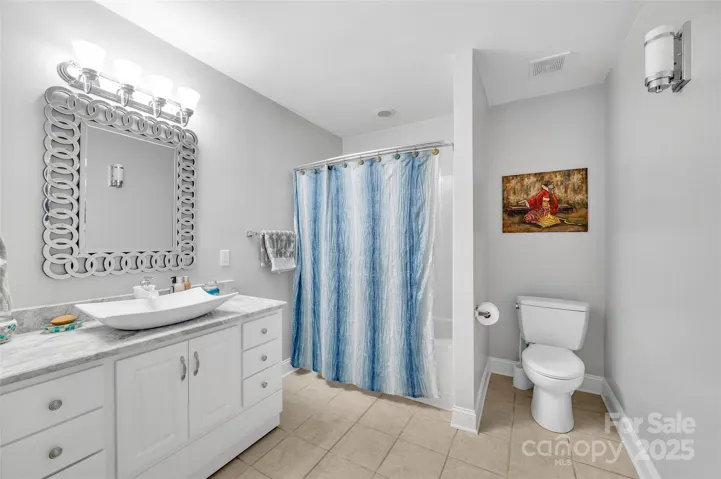 Lower level full bathroom
