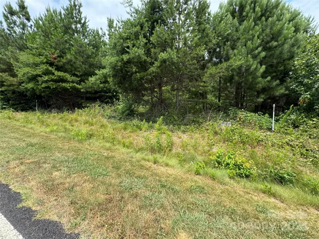 Road Frontage is between these 2 White T-Post