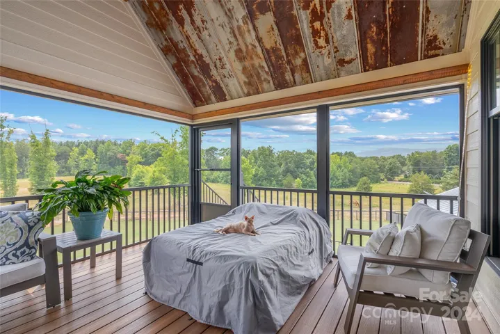 Glamour Cat does not convey.