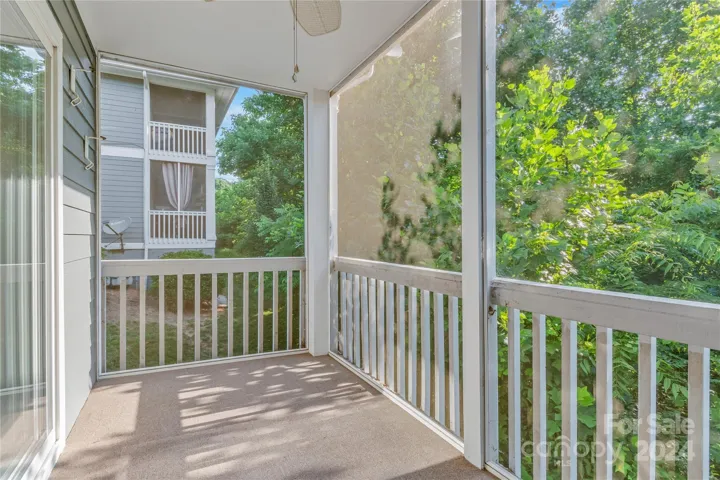 Screened-in back porch with wooded views