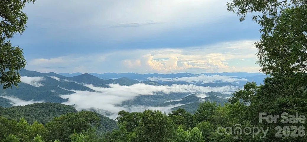 Must see to believe! Taken 7/30/25