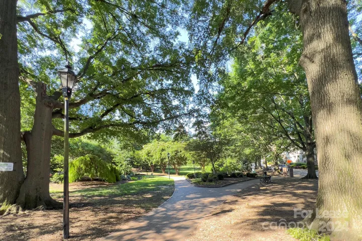4th Ward Park across the street