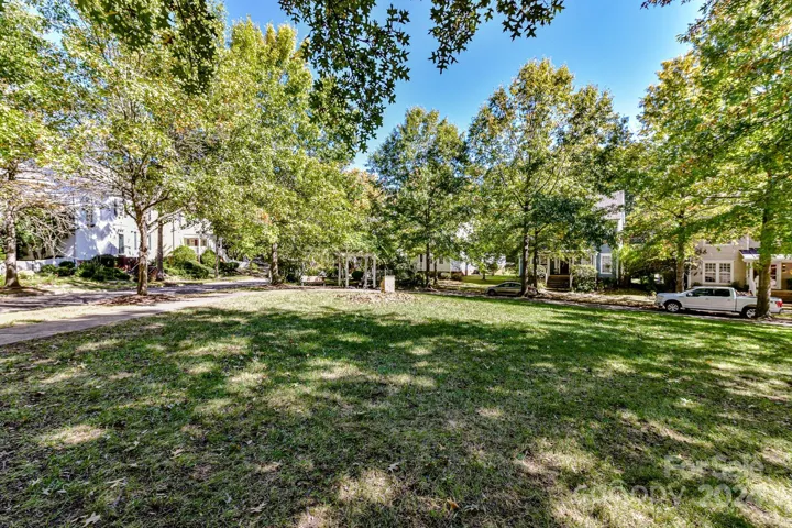 Community Greenspace!