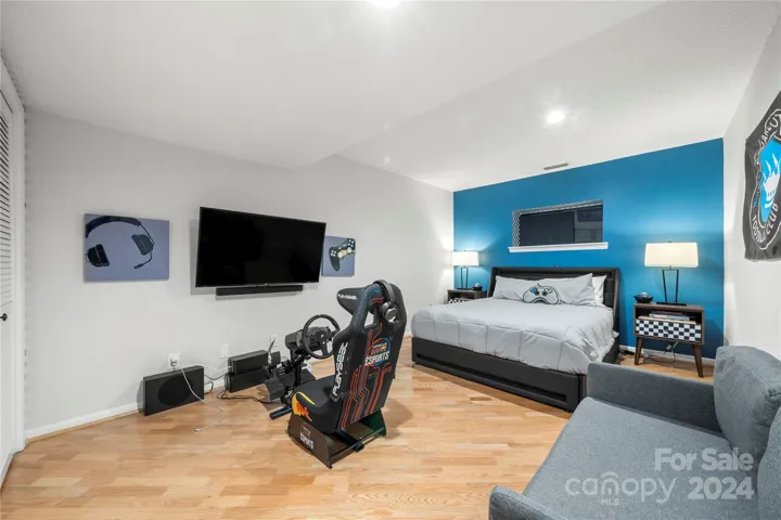 Lower level bedroom