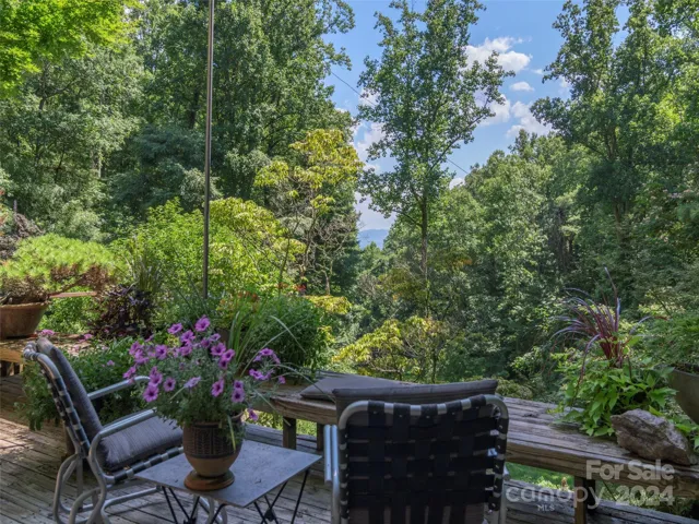 Trim the Trees for a Better View