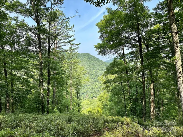 This is an amazing, private build-site! There's a bit of a river view which will be larger once the tree canopy is opened up. Long-range and sunset views abound!