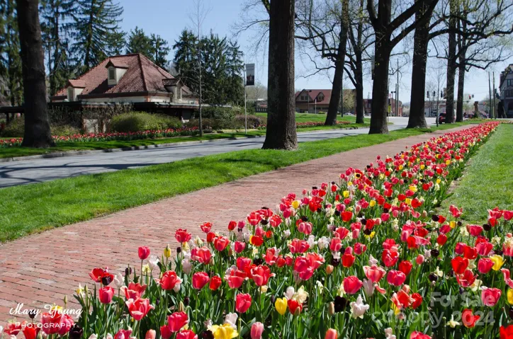 Biltmore Village