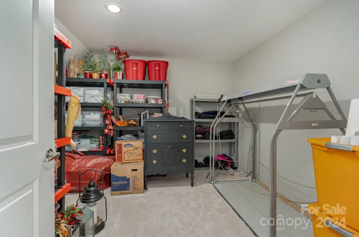 Just one of the storage spaces - but incredibly, this one has a Versa Lift! Don't want to lug your holiday totes down the stairs? Just put them on the lift and send them down to the main floor. Easy! It holds up to 250 pounds!