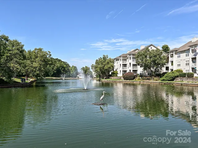 Beautiful pond with fountains