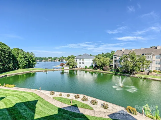 Pond and lake view from penthouse