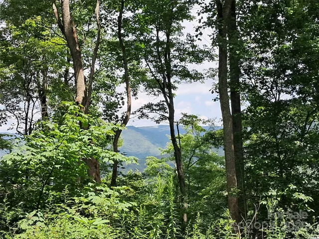 Clear your homesite for elevated views