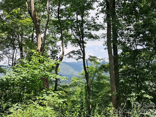 Clear your homesite for elevated views