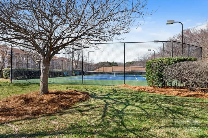 Tennis/ Pickleball