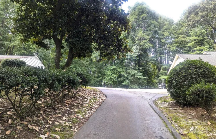 View from entrance to driveway