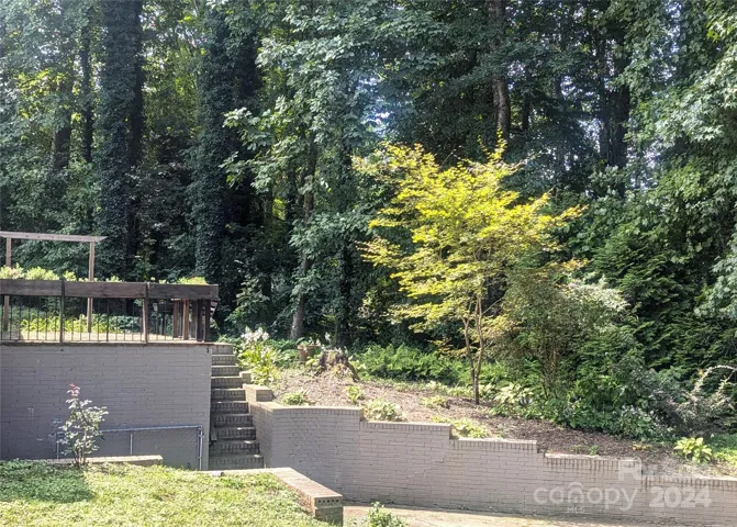 Lower driveway