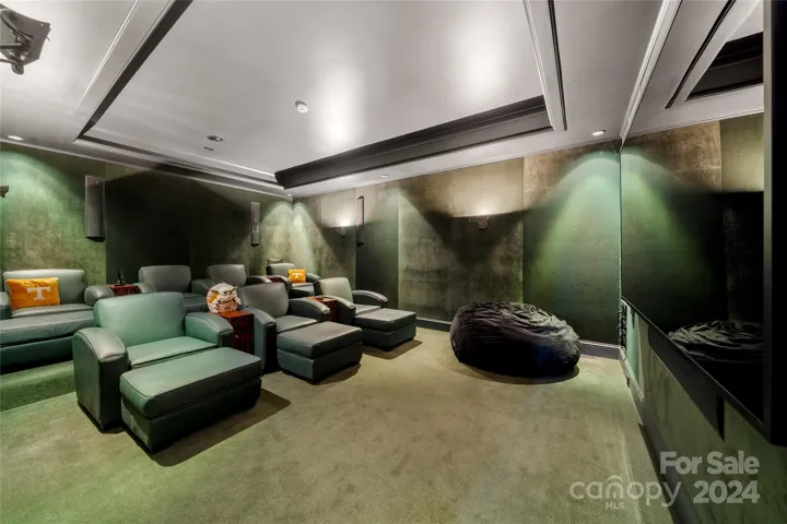 Home Theater