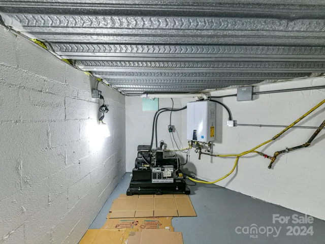 Generator and tankless water heater