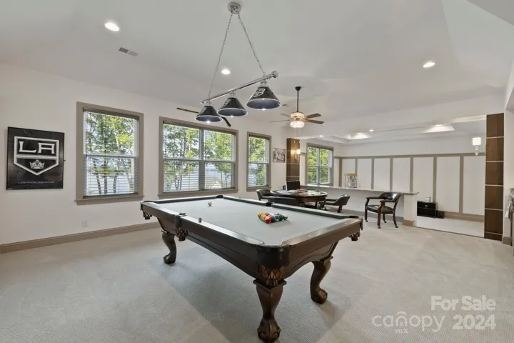 Entertainment Room