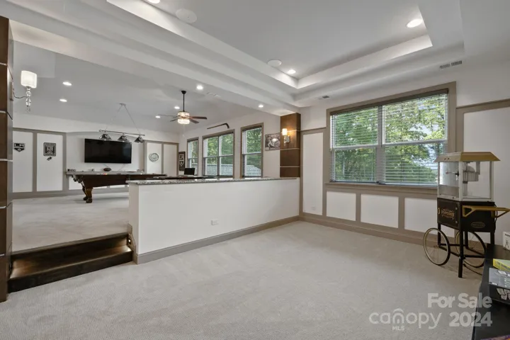 Entertainment Room