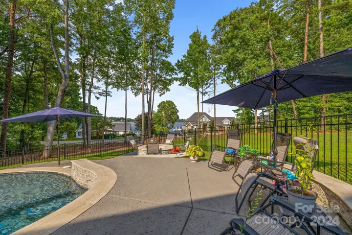 Pool/Yard
