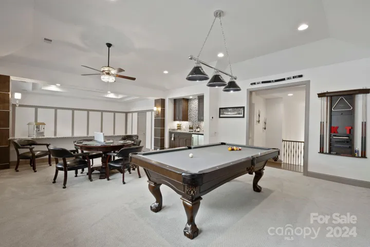 Entertainment Room