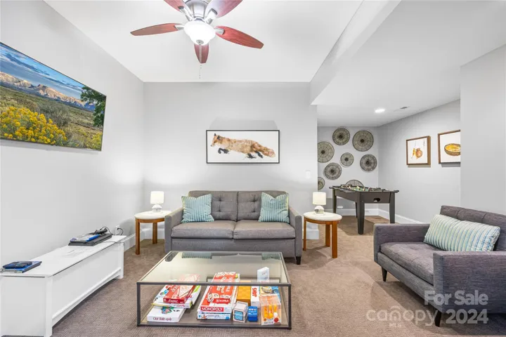 Lower level bonus room
