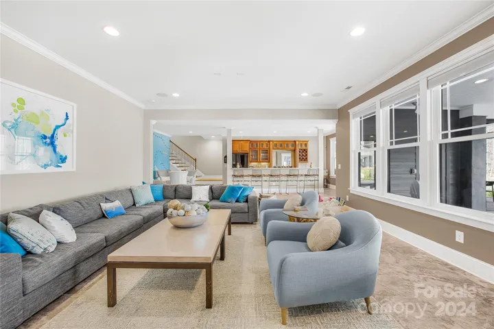 Lower level rec room